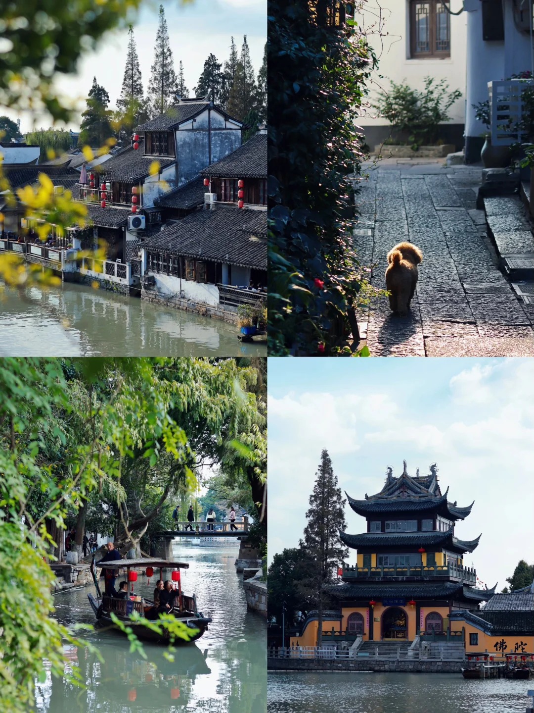 朱家角古镇｜藏在上海的江南古镇👍_3_彩虹旅游日记_朱家角-古镇-来自52tours 我爱旅游网